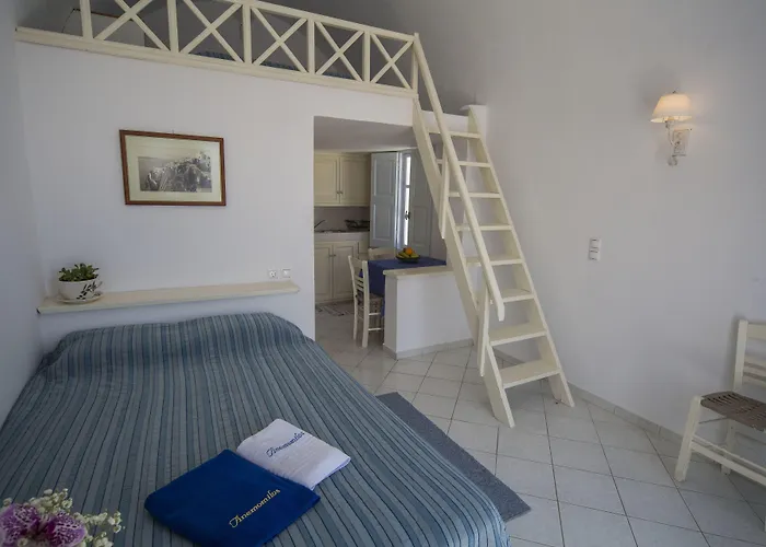 وشقق أيانثي